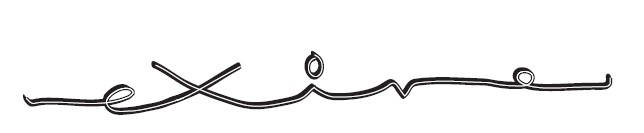 Logotipo de EXIRE