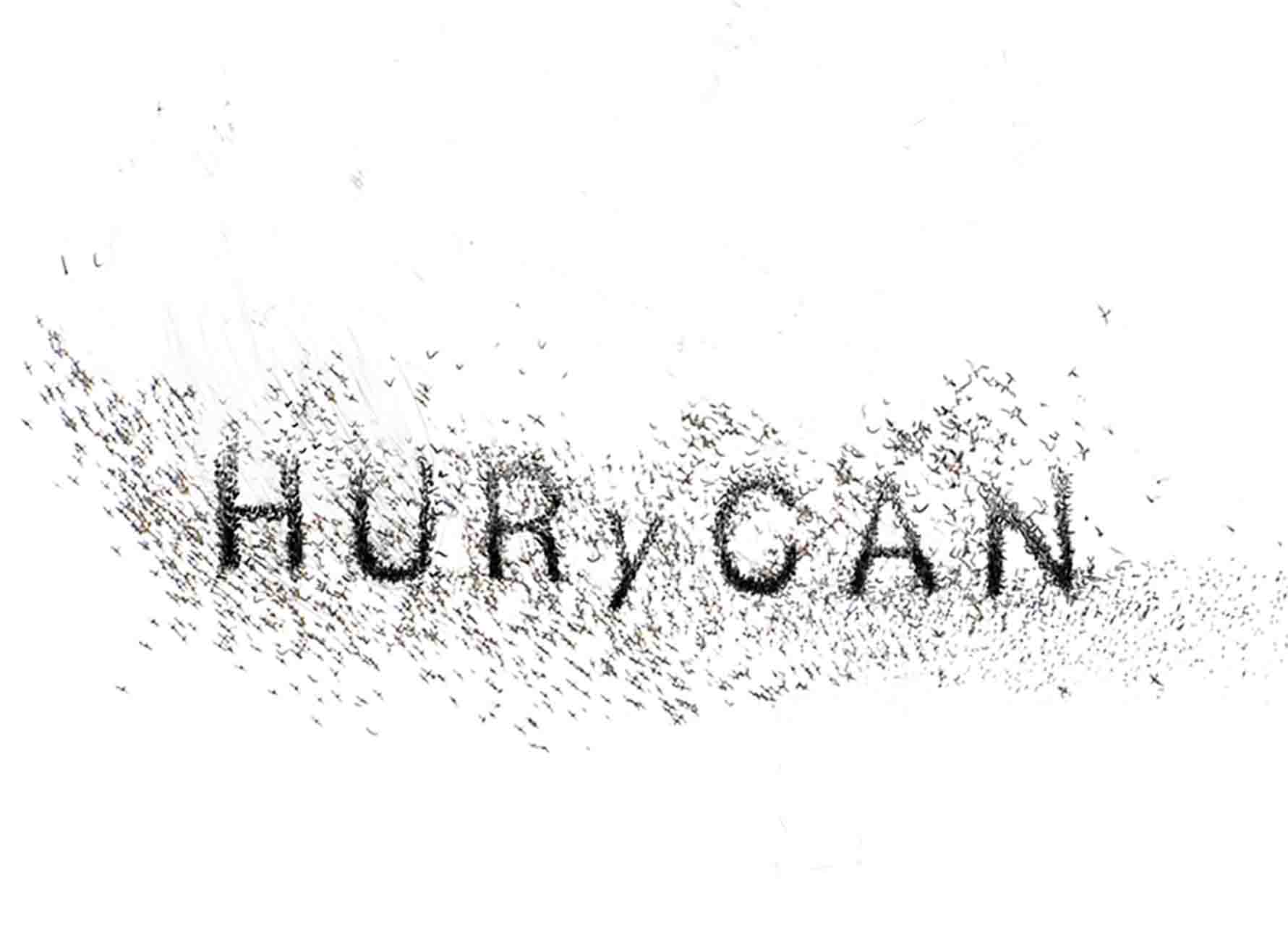 Logotipo de HURyCAN