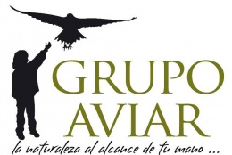 Logotipo de Teatro Infantil Grupo Aviar
