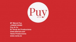 Logotipo de PUY & CO 