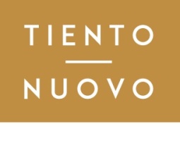 Logotipo de TIENTO NUOVO & IGNACIO PREGO