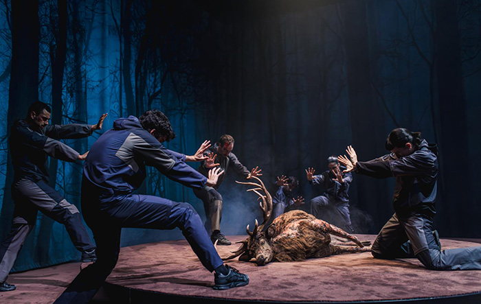 El Festival Internacional de Teatro y Artes de Calle–TAC ofrece una programación con 44 compañías de seis países