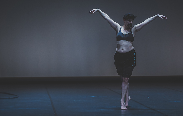Os presentamos el 14º Cuaderno de Espectáculos Recomendados por la Comisión de Ballet, Danza y Artes del Movimiento
