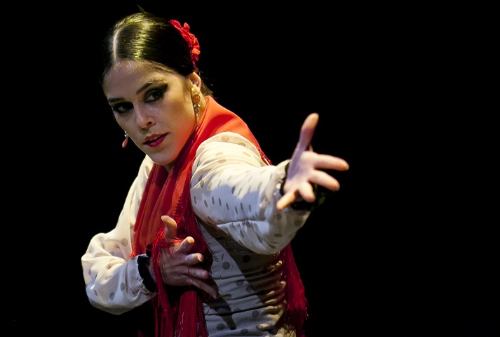 Abierta, hasta el 11 de julio, la convocatoria para presentar ofertas escénicas para ‘Flamenco Viene del Sur’ 2017
