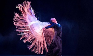 El Auditorio Baluarte, escenario principal de la quinta edición del Festival Flamenco On Fire