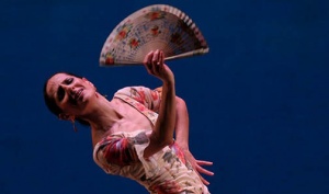 El Festival de Jerez celebra su XIX edición con el flamenco como bandera 