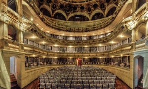 La Red Española de Teatros, Auditorios, Circuitos y Festivales de titularidad pública, premio especial del Teatro de Rojas