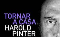 Tornar a casa , de Harold Pinter, en  la sala Petita de TNC.