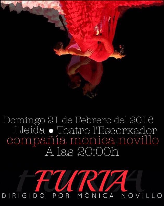 PURA FURIA MONICA NOVILLO