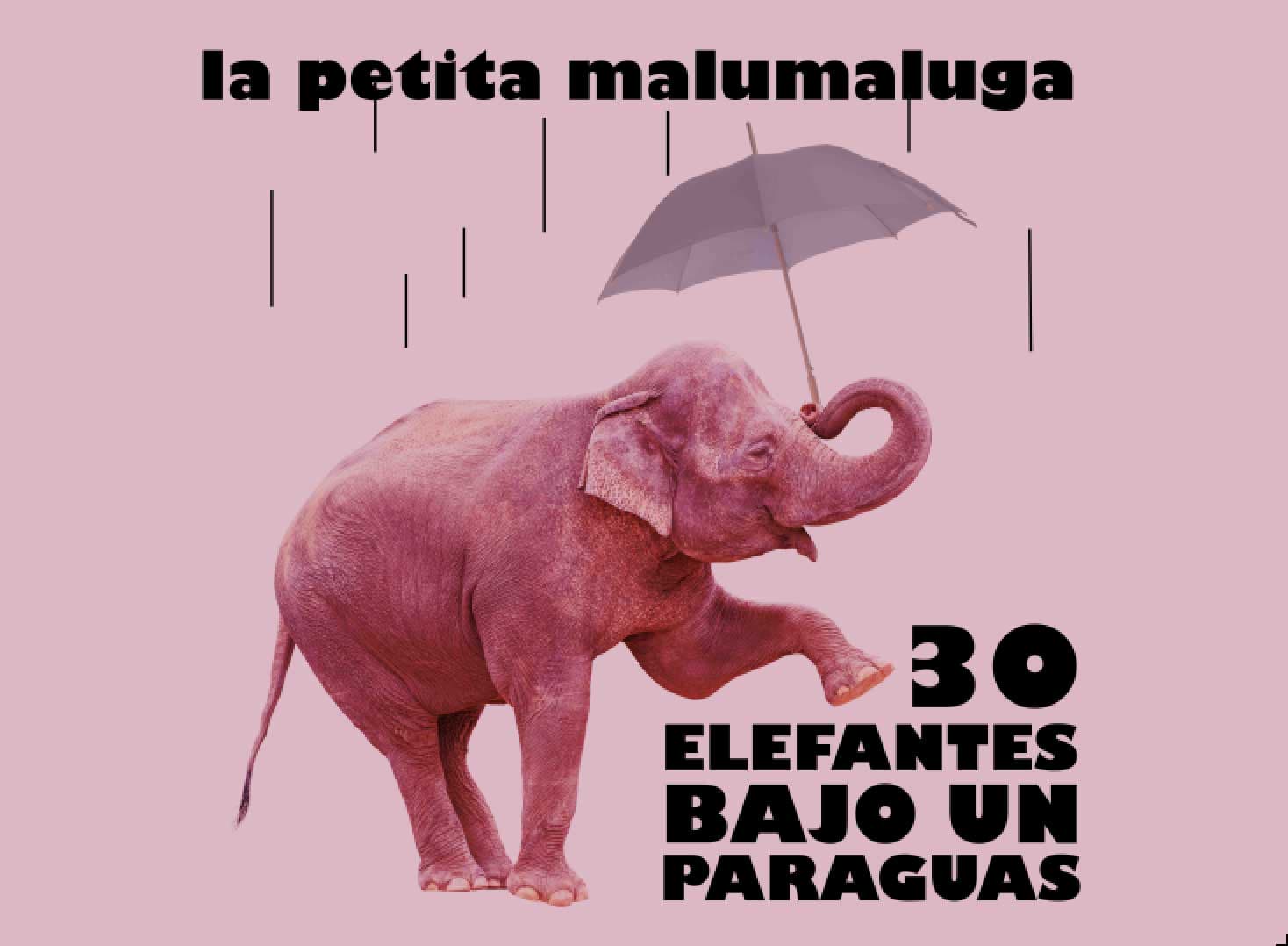 30 elefantes bajo un paraguas