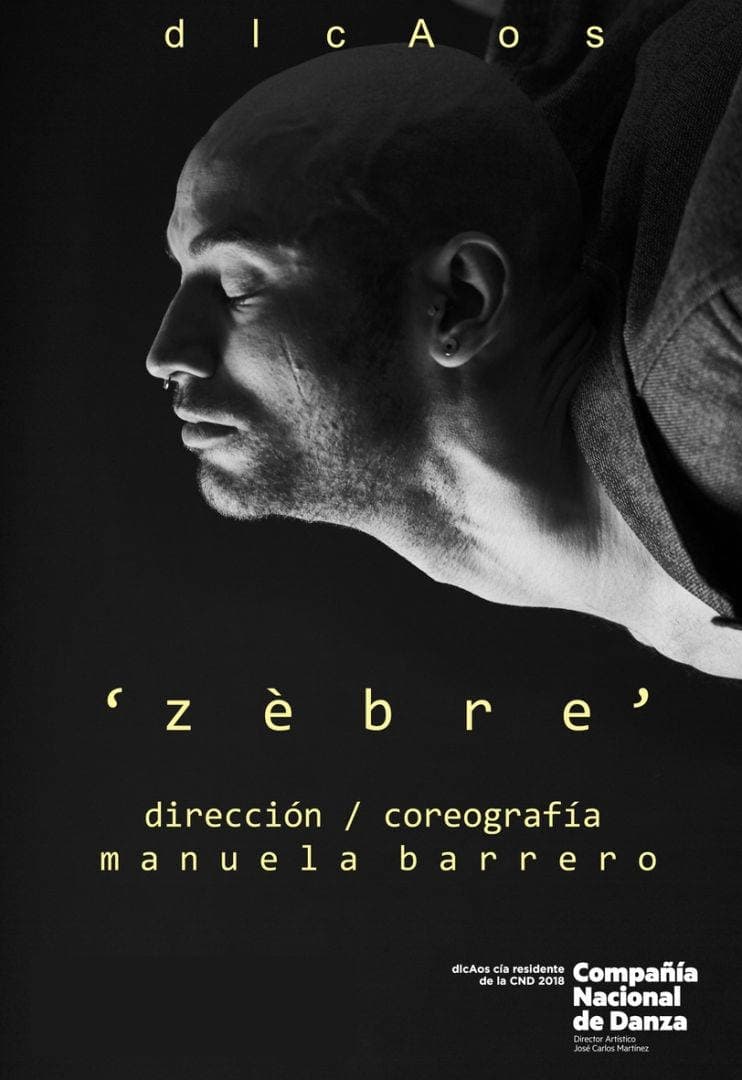 ' z è b r e '