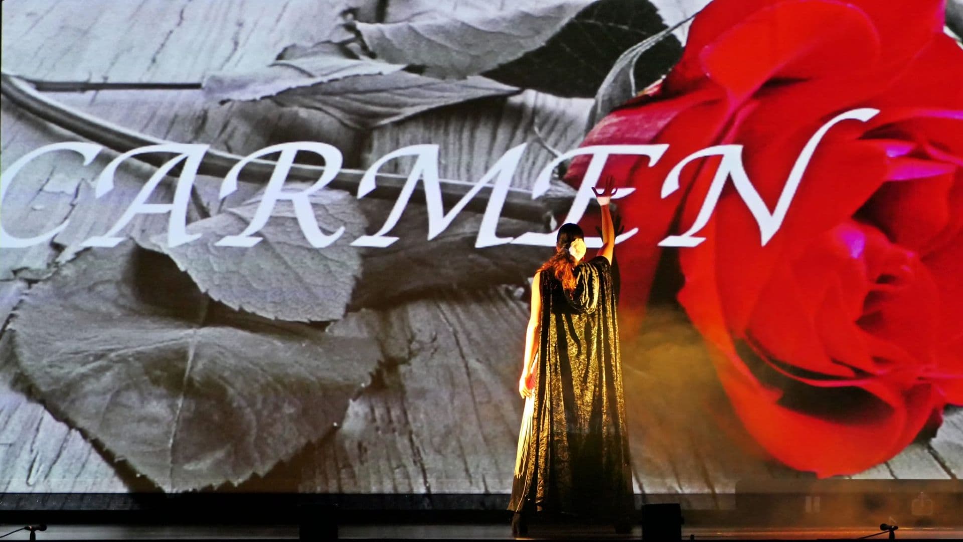 CARMEN DE BIZET