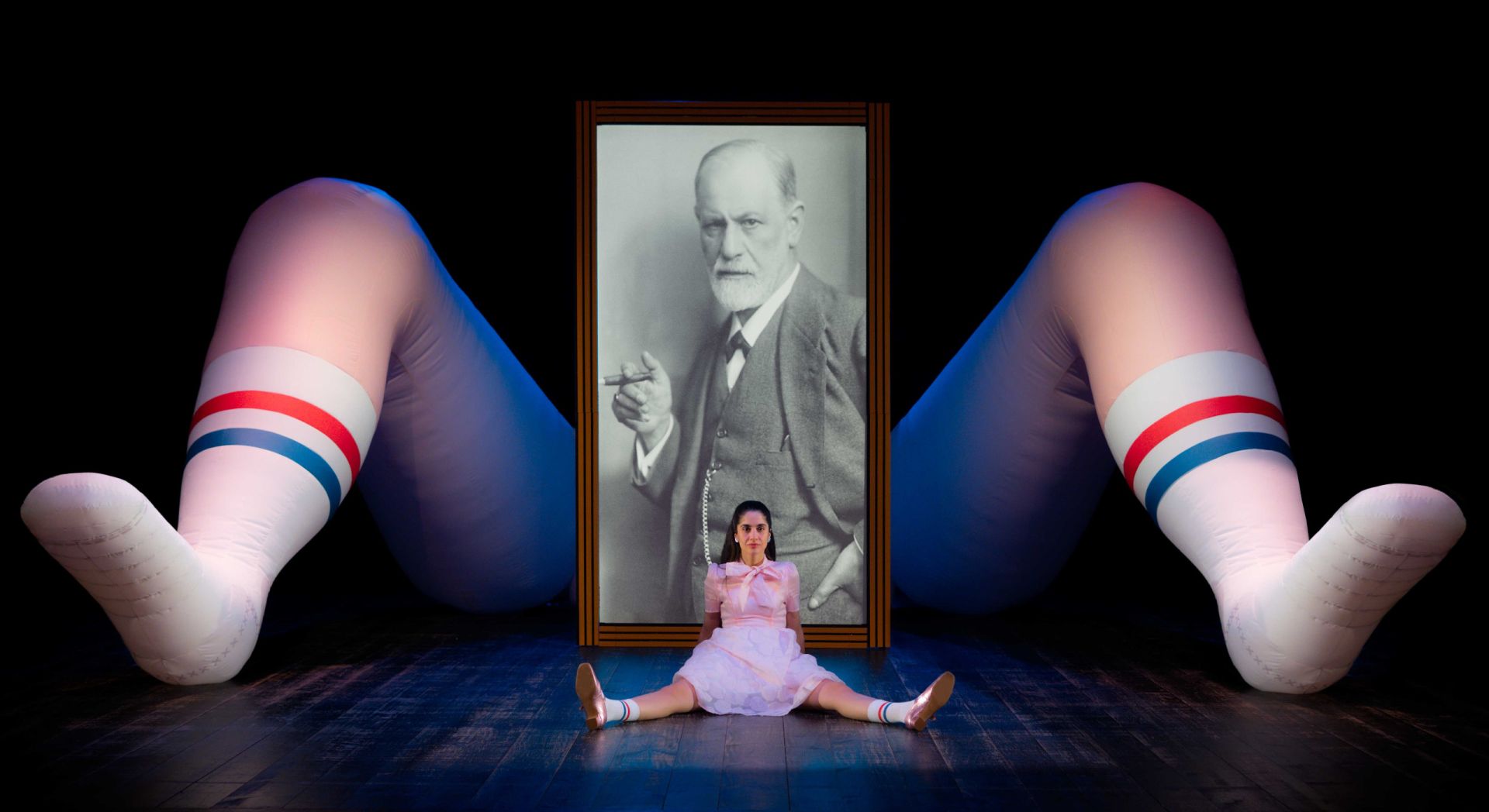 La historia vagenial