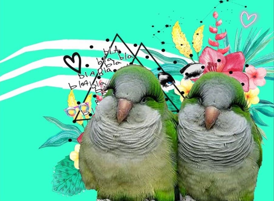Calladitas estáis más guapas!
