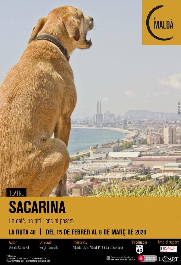 SACARINA