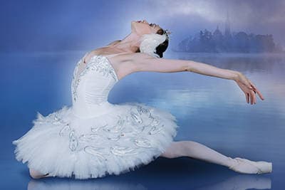 EL LAGO DE LOS CISNES