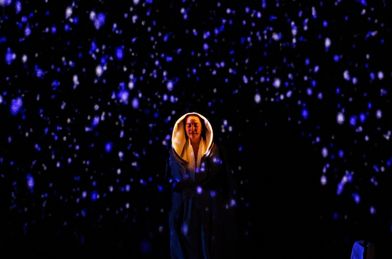 La Conferencia de los Pájaros