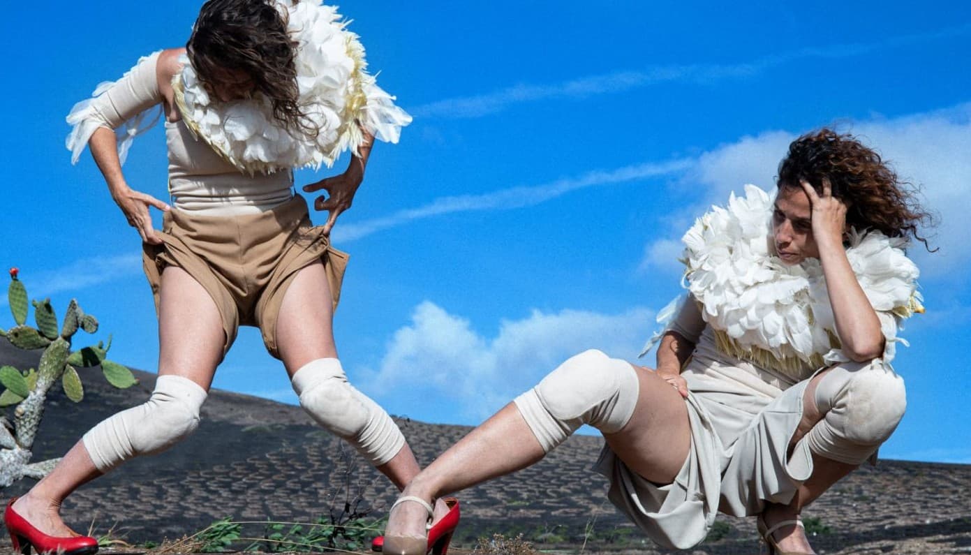 Conversaciones entre plumas