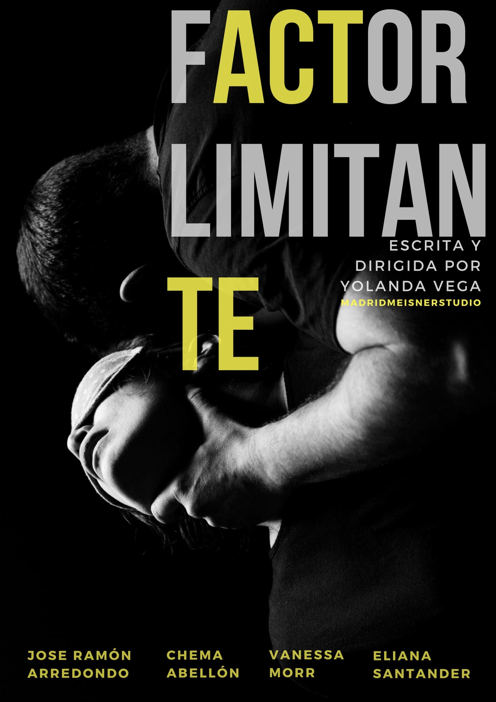 FACTOR LIMITANTE
