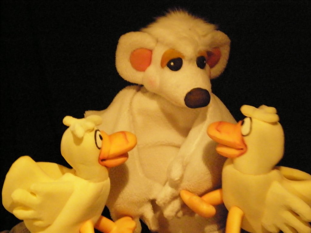 LA SORPRESA DEL OSO ANDRÉS