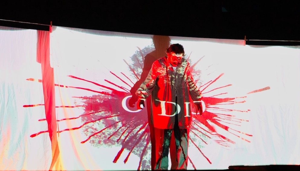 RAMÓN ACIÍN, PAJARICOS EN LA CABEZA