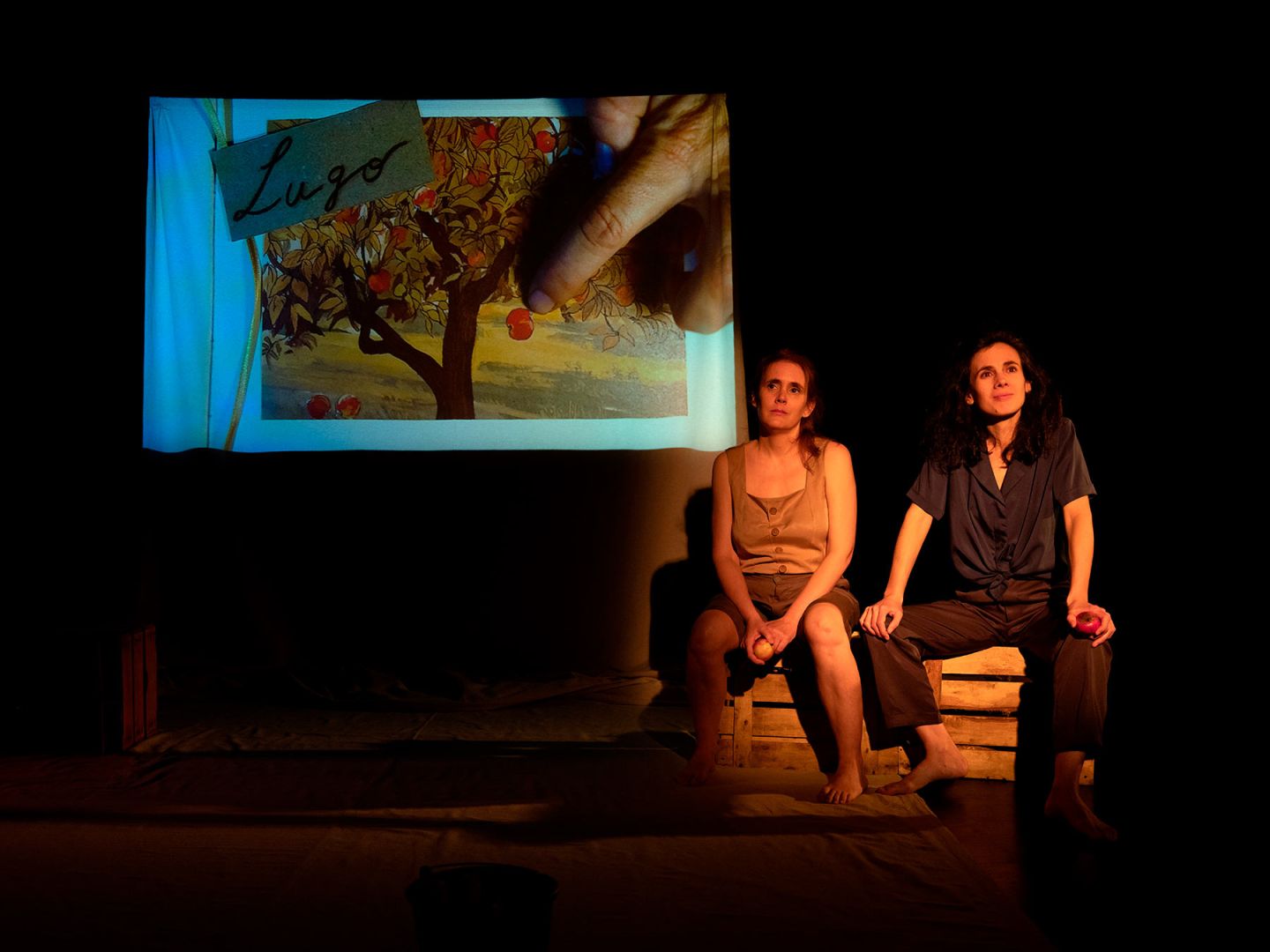 YO NACI EN UN SURCO DE JUDÍAS