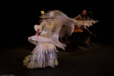Flamenco Tratado por Doña Gloria Jiménez