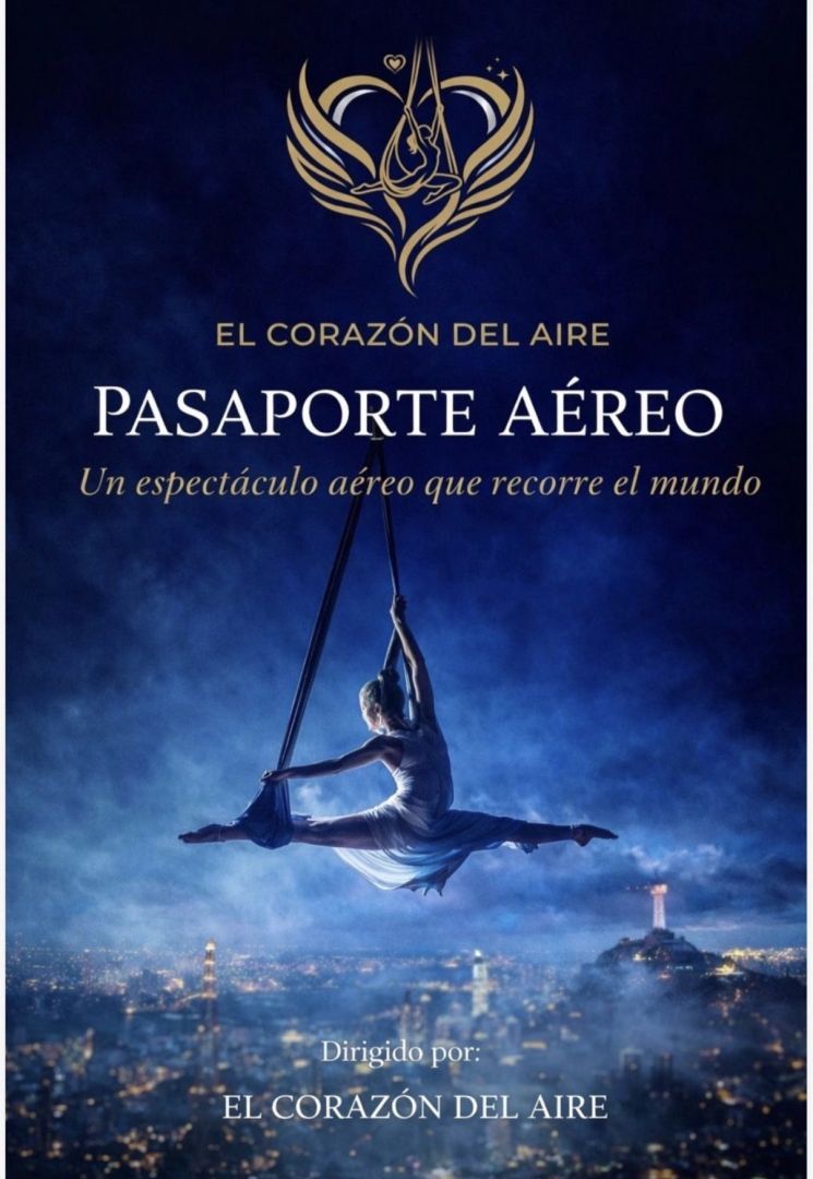 Pasaporte aereo