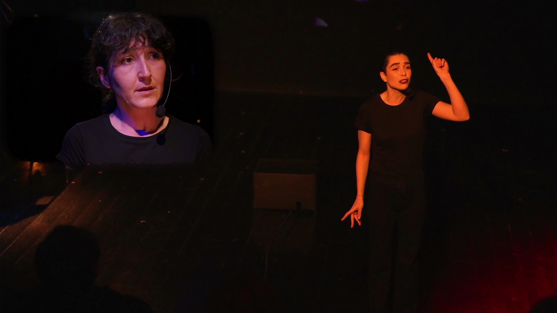 LAS CINCUENTA MARIPOSAS DE LA ISLA DE KERGUELEN