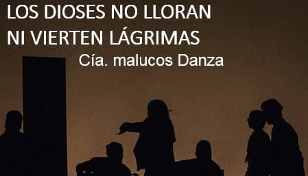 LOS DIOSES NO LLORAN, NI VIERTEN LAGRIMAS