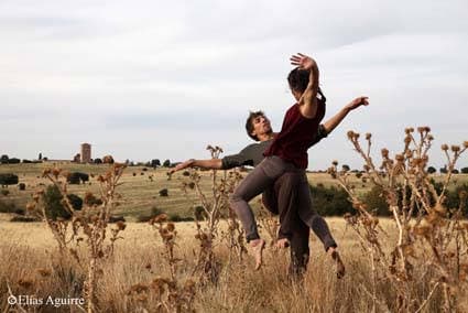 LUCHA O VUELO