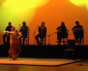 Pasión por el Flamenco