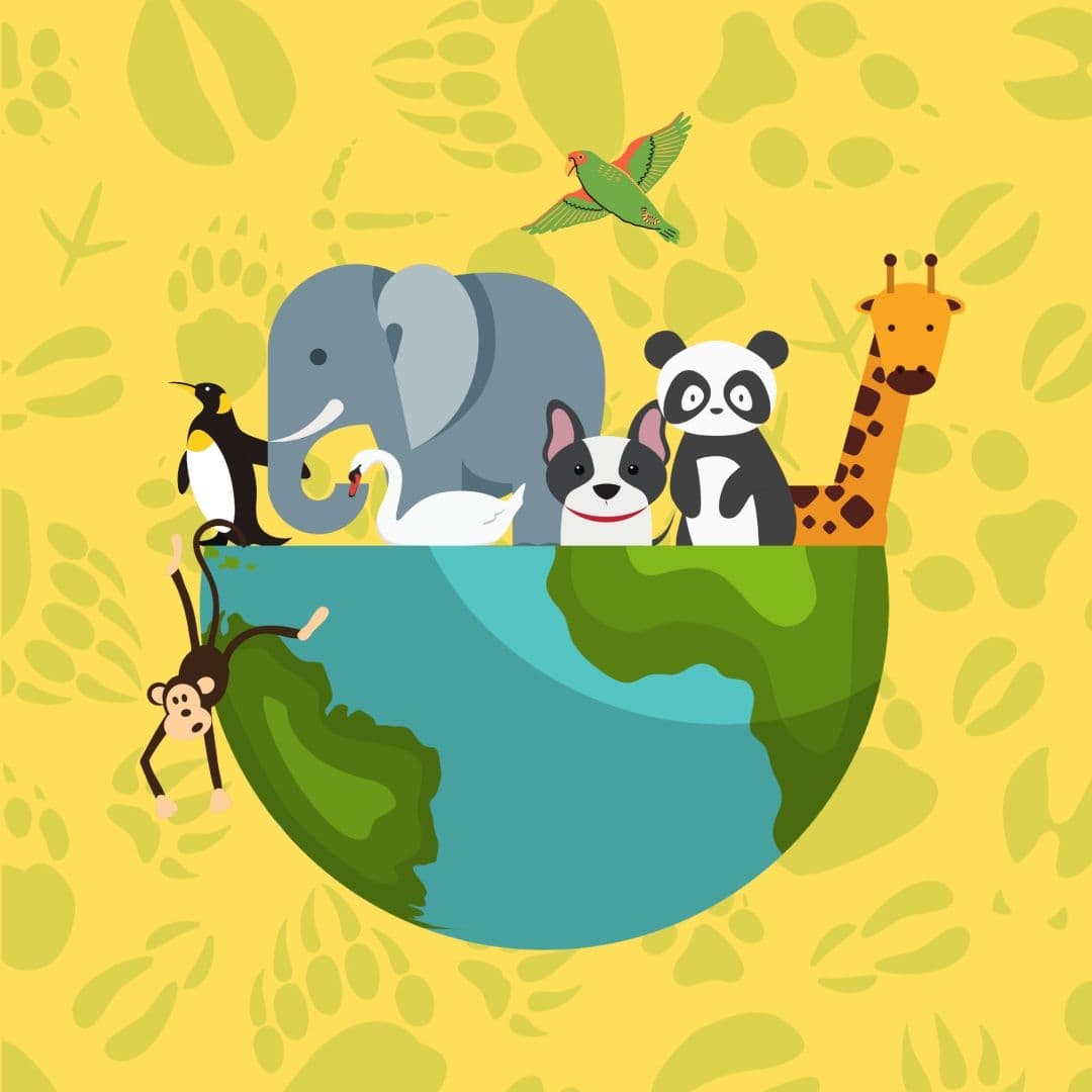 Mundo Animal