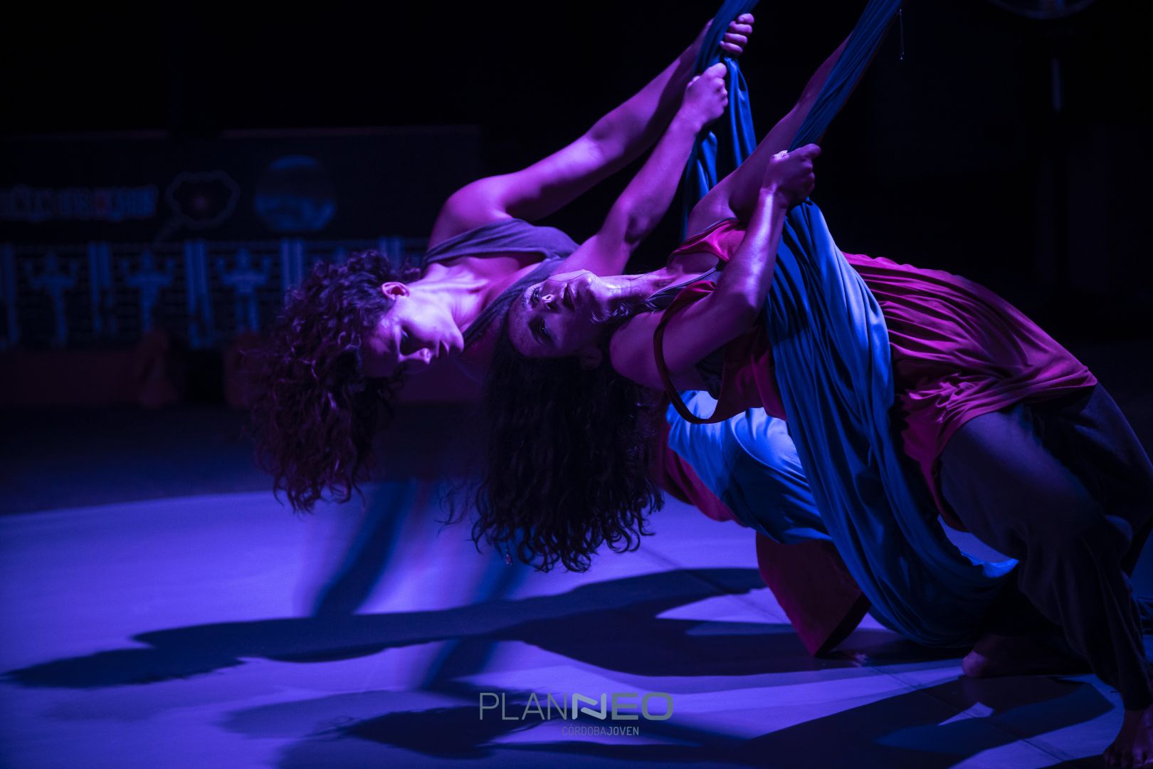 ¿Qué sueñan los nadie?