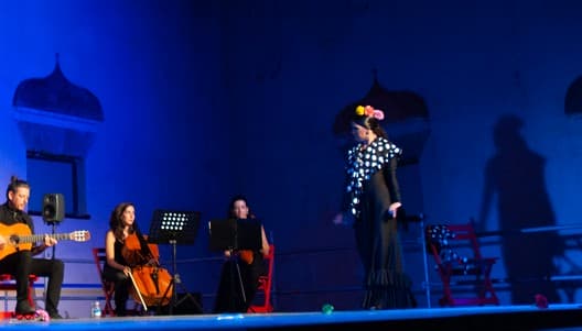 Flamenco Puro
