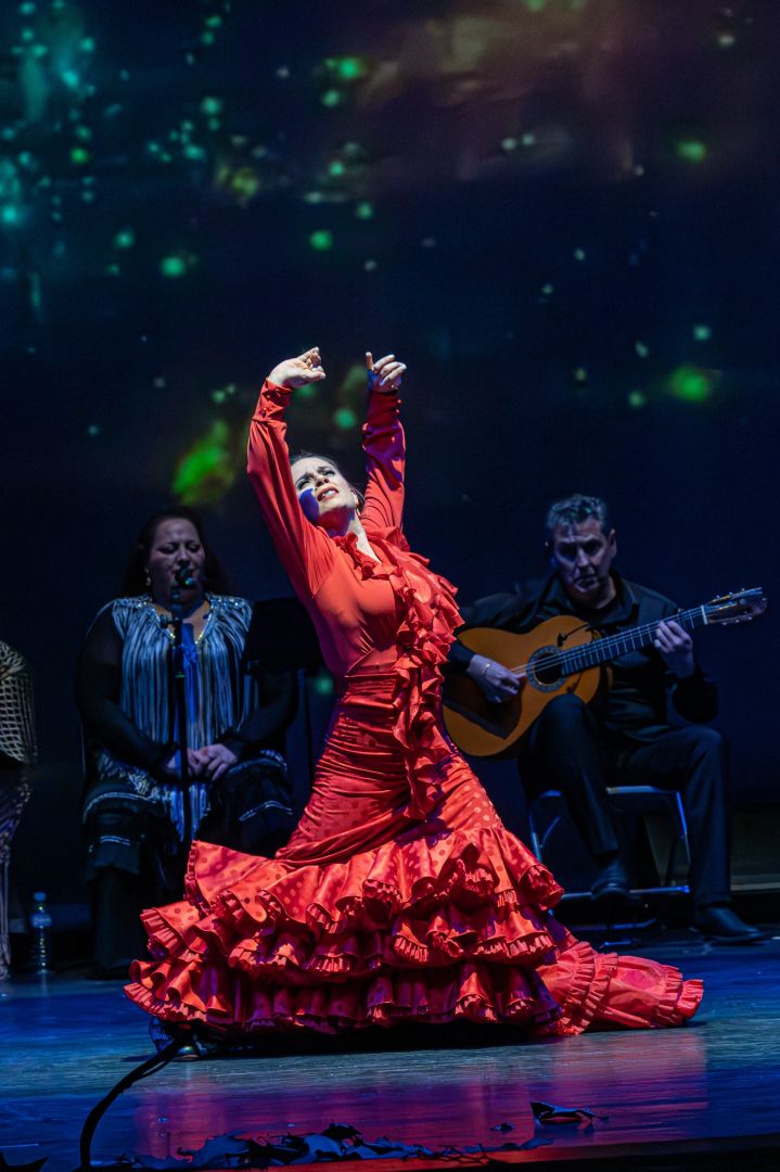 Flamenco A MI MANERA