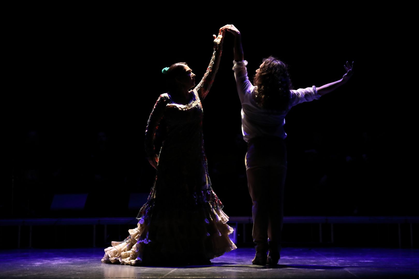 Espectáculo Flamenco Donde Nace una Vida 
