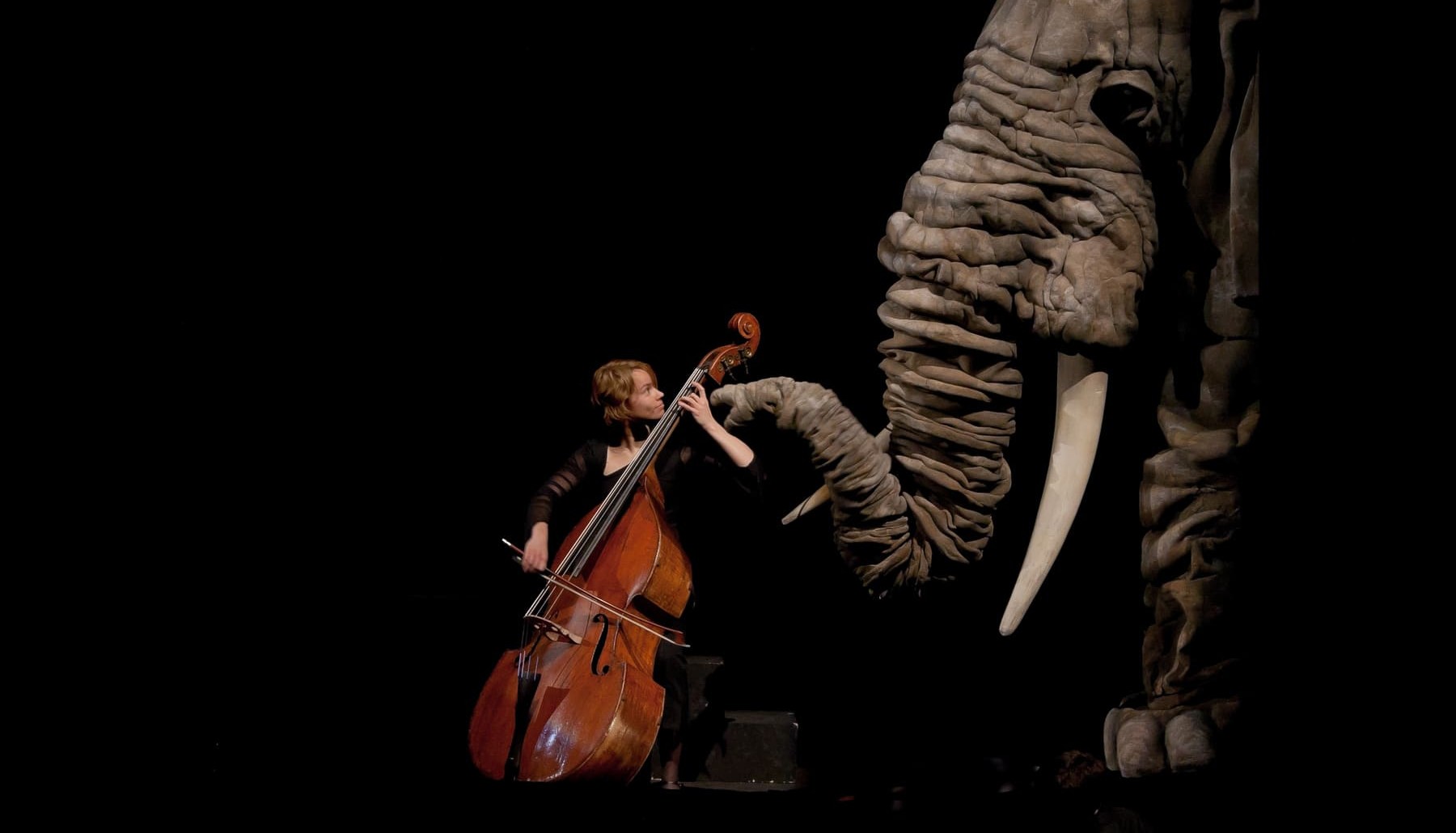 Animals theatre. Слон на сцене театр. Слон в театре. Опера Казахстан слон на сцене. Teatr animals.
