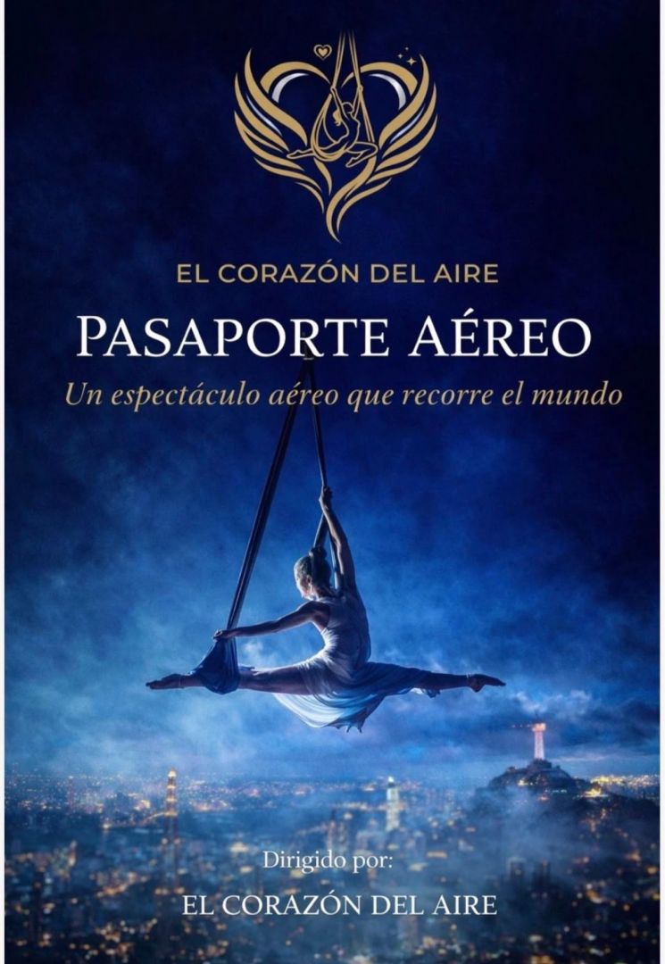 Pasaporte aéreo