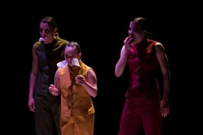 «The Bird», de Cía. Danza Vinculados y LamatDance Company. Fotografía de Juan Caballero.