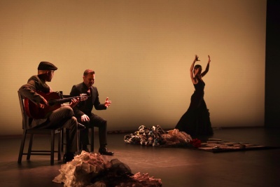 ESTRENO EN TEATROS DEL CANAL (SALA NEGRA) FESTIVAL SUMA FLAMENCA 2025